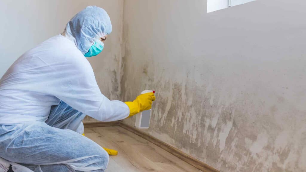 A certified technician from Omaha Water Restoration disinfects mold on a wall of a home in Bellevue, NE.