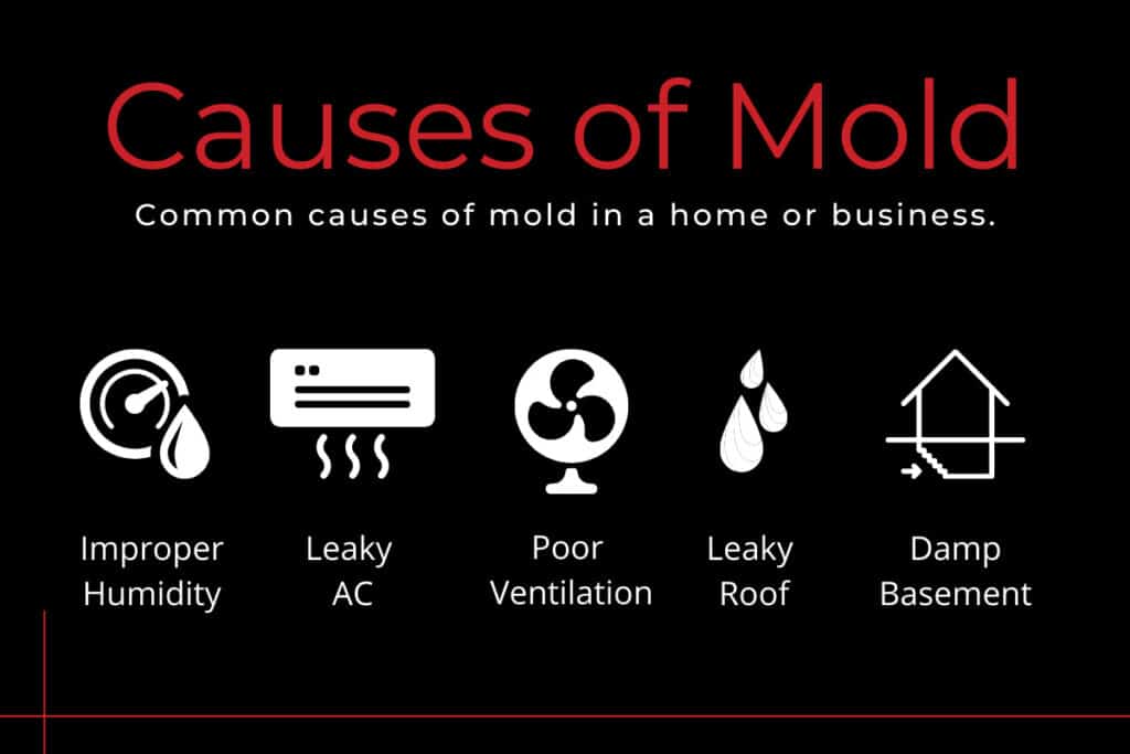 Infographic titled "Causes of Mold" with icons and text: Improper Humidity, Leaky AC, Poor Ventilation, Leaky Roof, and Damp Basement. Each item is illustrated with a simple white icon on a black background.